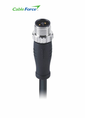 M12 T Code Male 4 Pin Connector Molded With 12A Power Cable Unshielded Free End